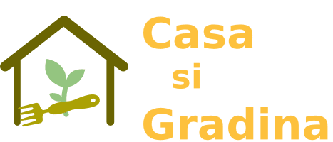 casa-si-gradina.ro