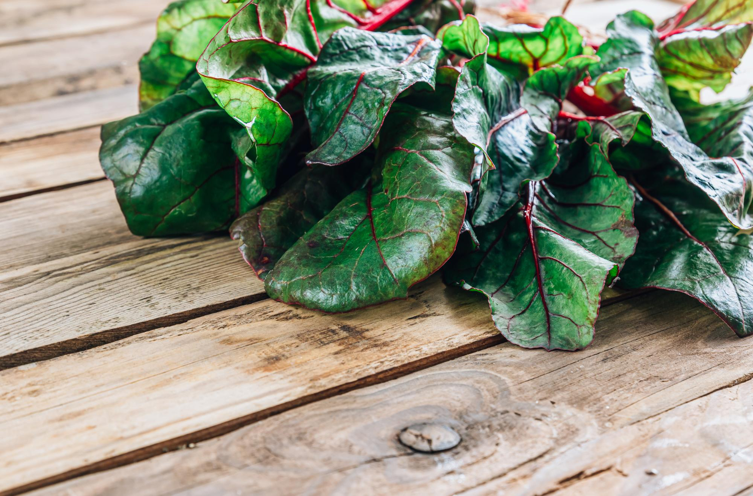 fresh raw leaves chard mangold salsd wooden table selective focus with copy space